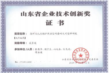 山東省企業(yè)技術(shù)創(chuàng)新獎(jiǎng)