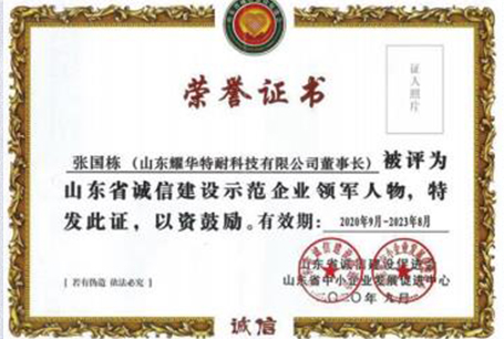 企業(yè)領(lǐng)軍人物